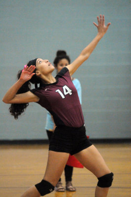 1010volleyballpink 218fre97.jpg