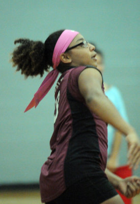 1010volleyballpink 240fre97.jpg