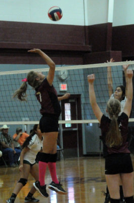1010volleyballpink 246fre97.jpg