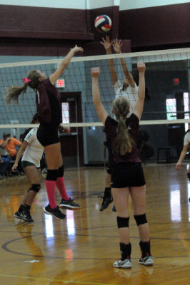 1010volleyballpink 247fre97.jpg