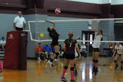1010volleyballpink 255fre97.jpg