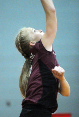 1010volleyballpink 261fre97.jpg