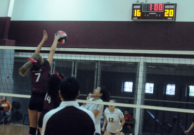 1010volleyballpink 278fre99.jpg