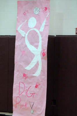 1010volleyballpink 324JV2.jpg
