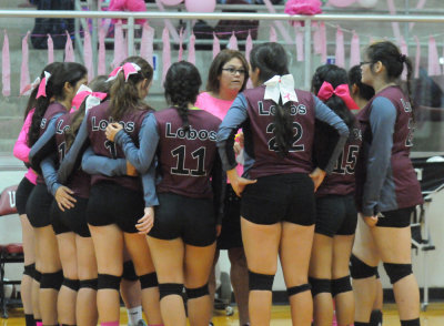 1010volleyballpink 328JV2.jpg