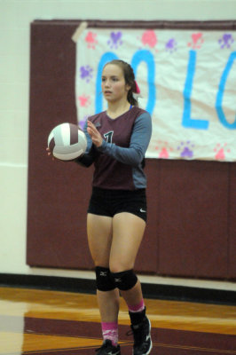 1010volleyballpink 352JV2.jpg