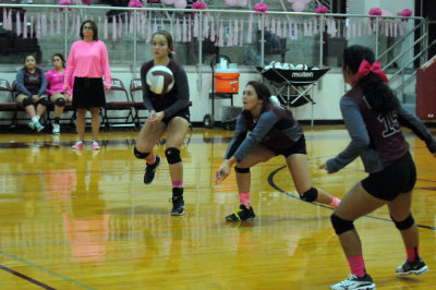 1010volleyballpink 361JV2.jpg