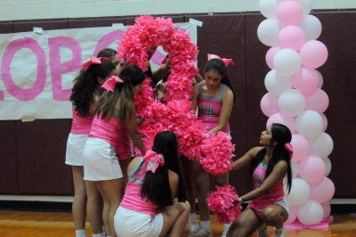 1010volleyballpink 432InthePink.jpg