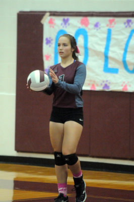 1010volleyballpink 352JV2.jpg