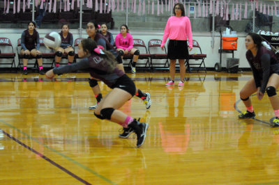 1010volleyballpink 365JV2.jpg
