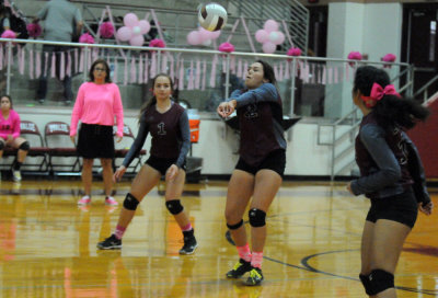 1010volleyballpink 382JV2.jpg