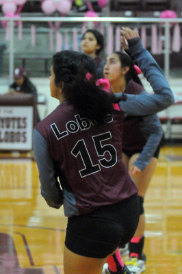 1010volleyballpink 399JV2.jpg