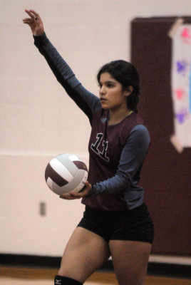 1010volleyballpink 405JV2.jpg