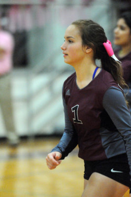 1010volleyballpink 406JV2.jpg