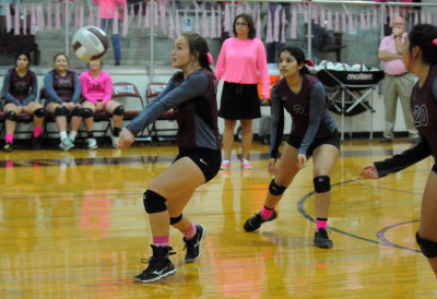 1010volleyballpink 412JV2.jpg