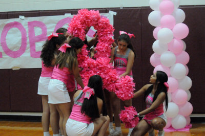 1010volleyballpink 432InthePink.jpg