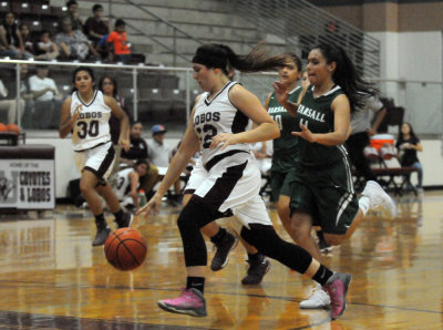 113bbgirls 256bob rasa photography lobos.jpg