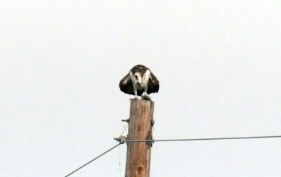1217uvalde202 081osprey4.jpg