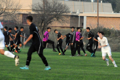 227soccer 066coyotesoccer.jpg