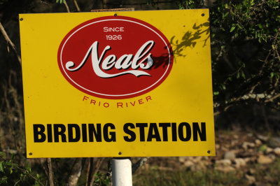 428neals 029neals.jpg