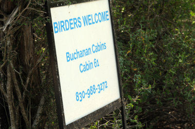 428neals 112buchanan.jpg