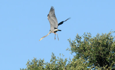 526cooks_048GBH.jpg