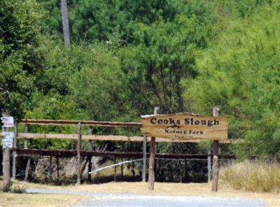 Cook's Slough Nature Park:  Uvalde   