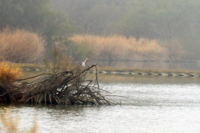 1225cooks_097greategret.jpg