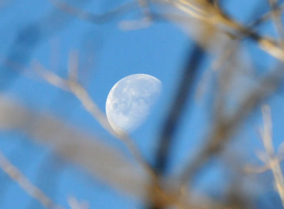 1227cooks_049moon.jpg
