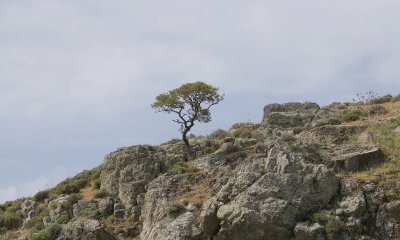 Mount Ordimnos