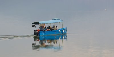 Birdtour by boat
