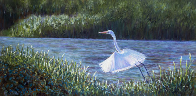 Aigrette ballerine - Huile 18 x 36