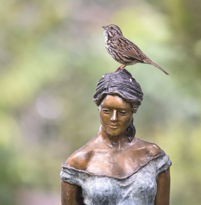 The Sparrow and the Statue