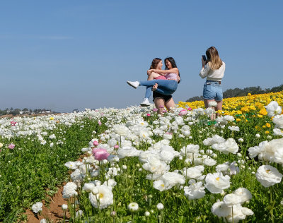 Flower Field Photo Ops 3