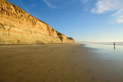 Tracks in the Sand