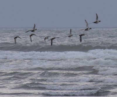 Olympic National Park