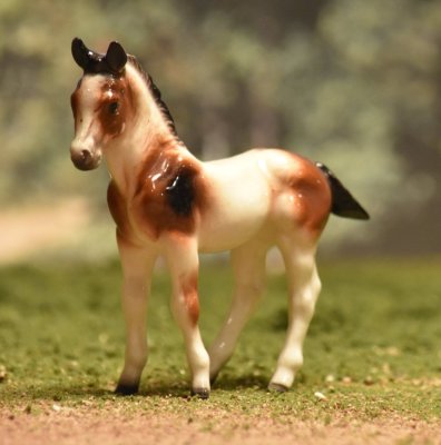 Calico pony foal.jpg