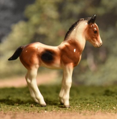 Calico pony foal2.jpg