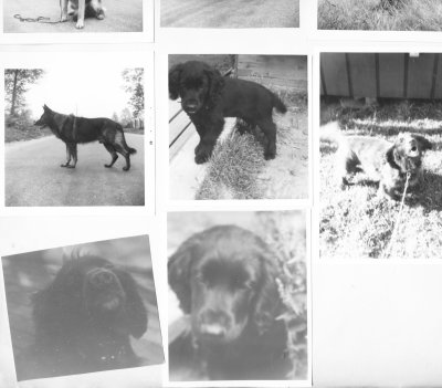 g10/64/1101464/3/168433040.lC8iXFEo.jpg