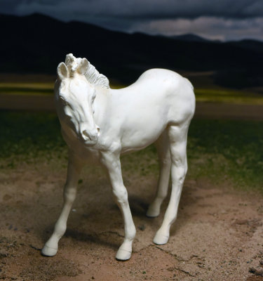 Pam DeMuth resin standing foal3 by Pam De Muth.jpg