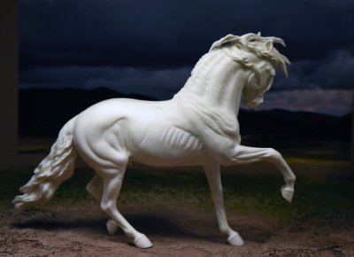 Desperado Spanish stallion by Stacey Tumlinson