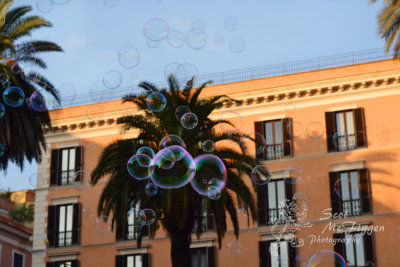bubbles piazza di spagna.jpg