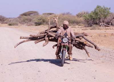 What One Can Fit on a Bike