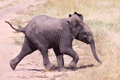 Junior getting a wriggle on.....