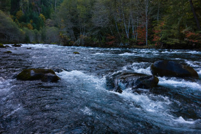 Arlen_141010_3683-M-w.jpg