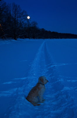 Cold Moon Rising