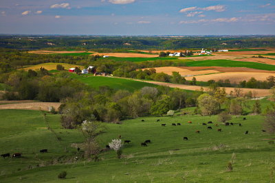 Iowa Pastorial