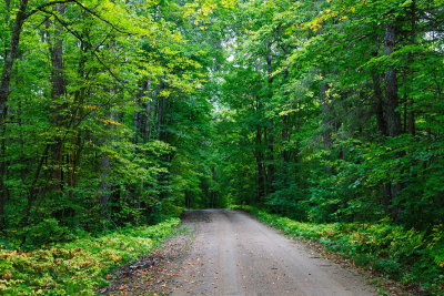 North Woods Back Roads