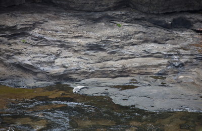 On the Rocks