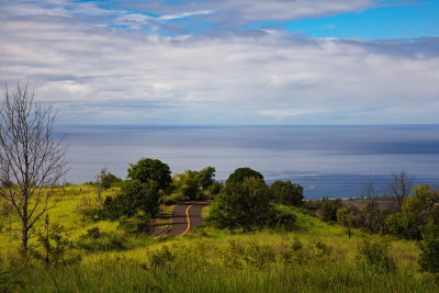 Hawaiian Road Trip